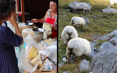 Dairy local tradition